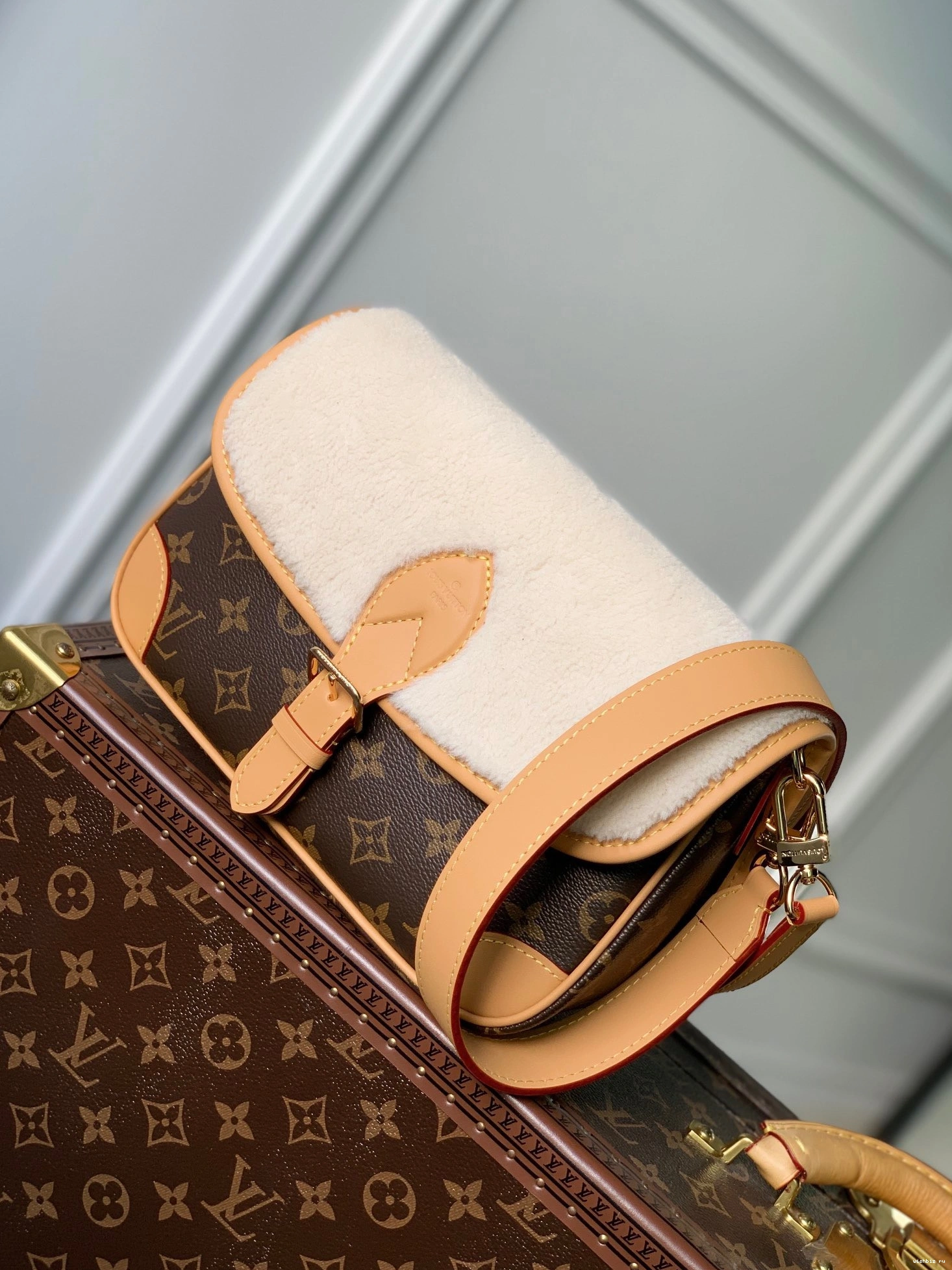 WIS VUITTON LOUIS Diane Nano 1211